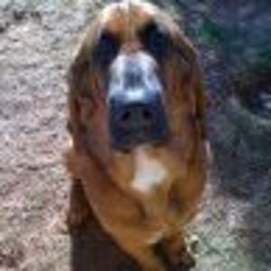 Meet your Posher, Janette